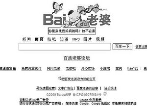 山寨百度横空出世 取名“百度老婆”