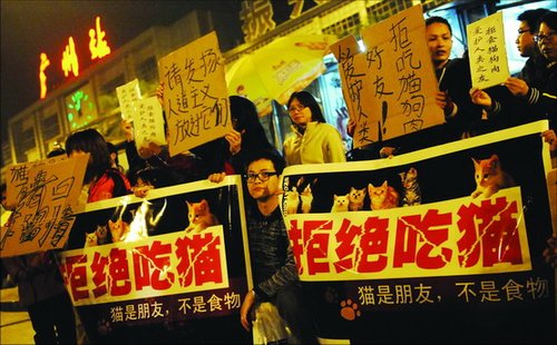 我国拟规定食用猫肉狗肉罚款5000元拘留15天